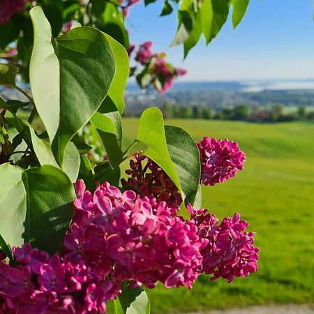 הוילה ברנאו אם כימסי Schleipfnerhof Urlaub Auf Dem Bauernhof מראה חיצוני תמונה